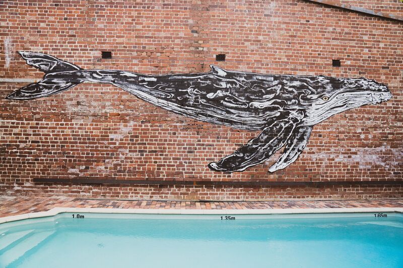 Art 6 - Whale